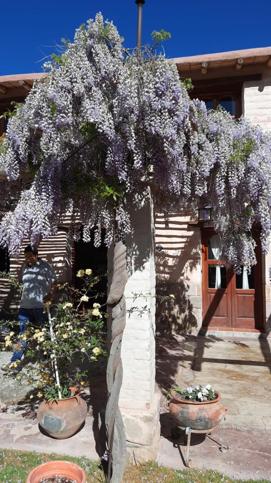 El Ensueno Βίλα Tilcara Εξωτερικό φωτογραφία